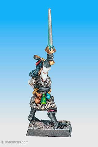 Dark Elf Champion 2