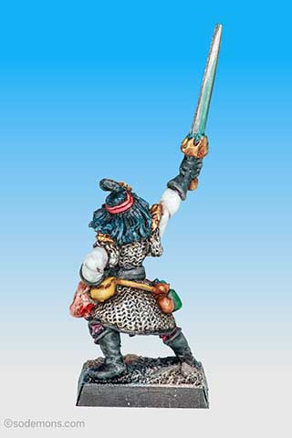 Dark Elf Champion 2