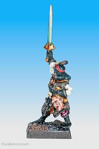 Dark Elf Champion 2