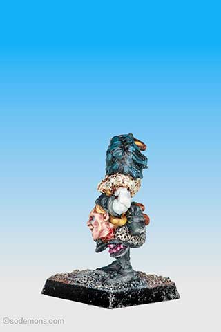 Dark Elf Champion 3