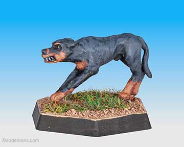 ADD80 Blink Dog D