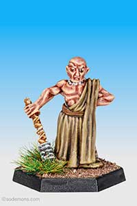 Wizened Priest