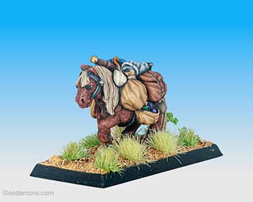 C25 Pack Pony