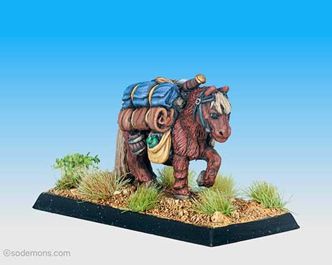 C25 Pack Pony