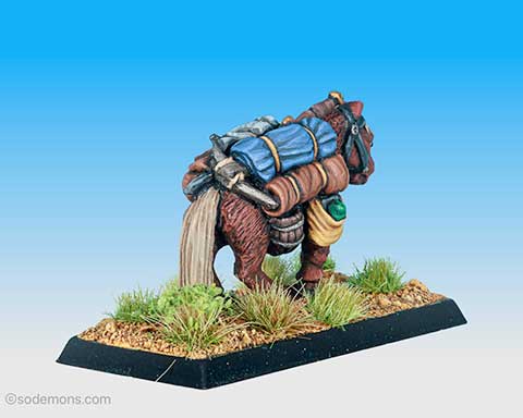 C25 Pack Pony