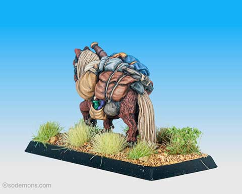 C25 Pack Pony
