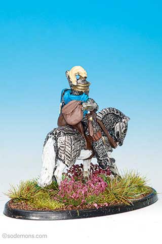 FAC31 Mounted Paladin in full Chainmail