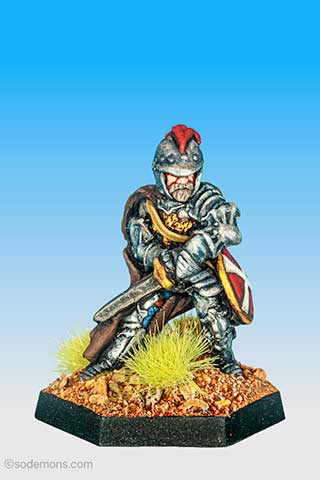 FTF75 Bearded Paladin with Sword