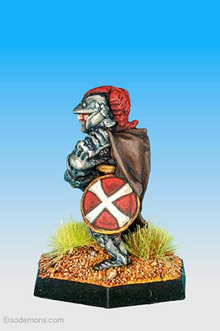 FTF75 Bearded Paladin with Sword