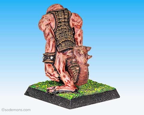 Limited Edition Fimir