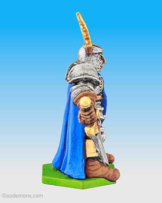 Sir Rohan - The Knight