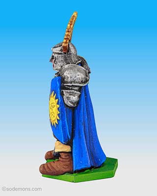 Sir Rohan - The Knight