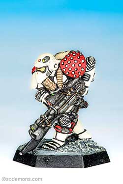 LE2 Imperial Space Marine