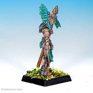 Amazon Champion 1