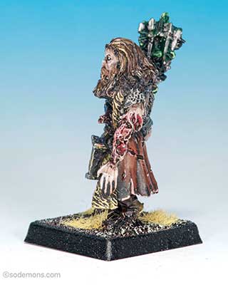 Zombie Witch Hunter