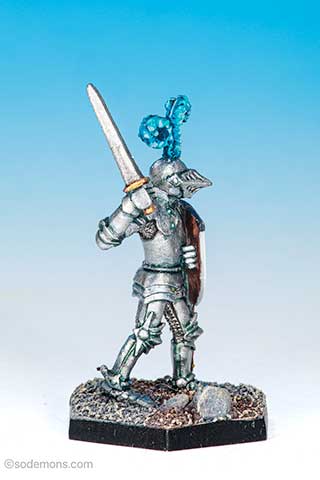 10-306 Paladin