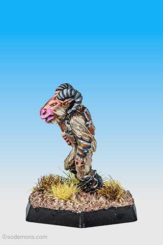 RQB08 Broo with Club (Box 4v1-1)