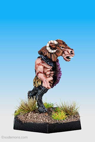 Box 4v2 8 Ram Headed Broo Advancing