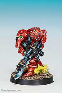 LE1 Imperial Space Marine