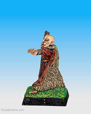 Wizard Monk