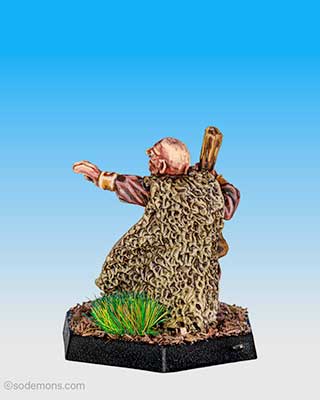 Wizard Monk