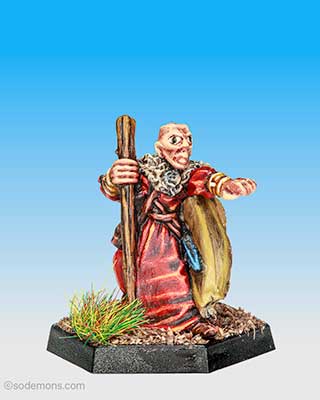 Wizard Monk
