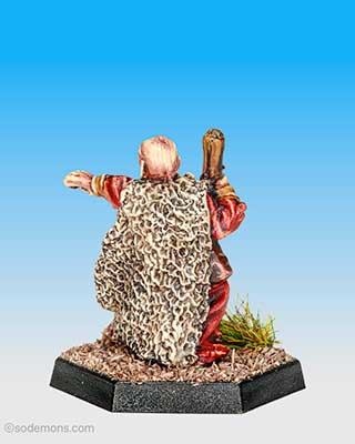 Wizard Monk