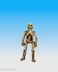 FTS15 Slain Skeleton