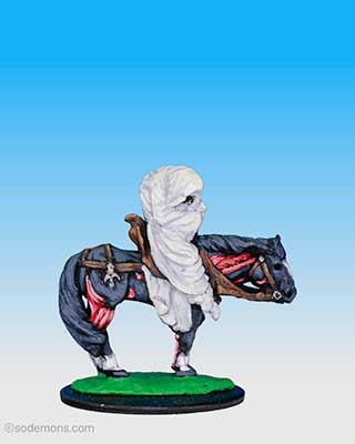 C21 Wraith Rider