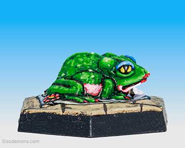 Plain Toad