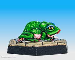 Plain Toad