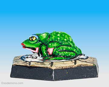 Plain Toad