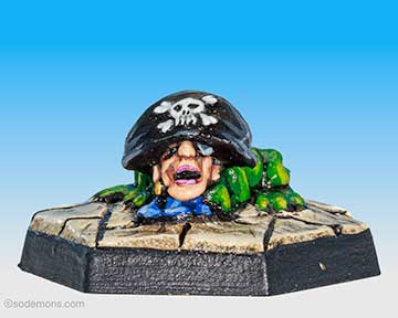 Pirate Toad