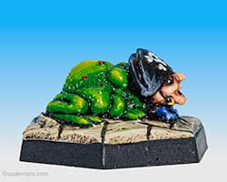 Pirate Toad