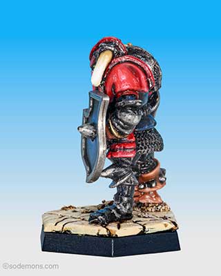 Warrior of Chaos