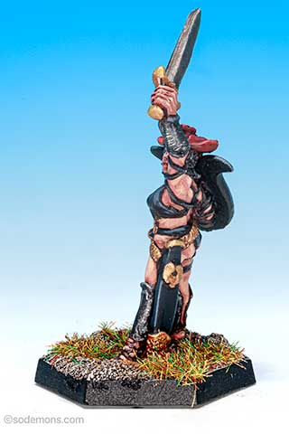 C35 Sword Vixen